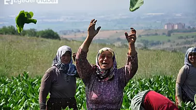 Çiftçiler, kuraklıkla mücadele için su taleplerini dile getirdi