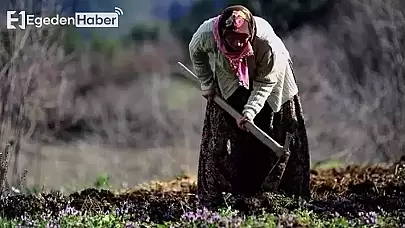 Tarladaki Kadın Neye Uğradığını Şaşırdı: Sırtından Vuruldu!