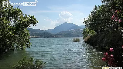 Manisalı çiftçiler, kavurucu sıcaklara meydan okuyarak üretimdeki emek mücadelesini sürdürüyor