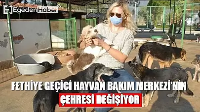 Fethiye'de faaliyet gösteren hayvan satış noktaları denetlendi, şeffaflık sağlandı