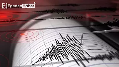 Panik yaratan deprem: Komşu iller de sarsıldı!