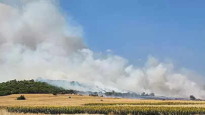 Balıkesir'de çıkan arazi yangını hızla ormana yayıldı!