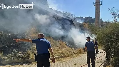 Aytepe Mesire Alanı'nda Çıkan Yangın Kontrol Altına Alındı