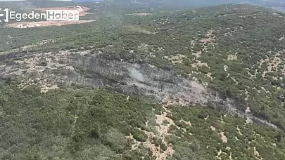 Muğla ve Aydın'daki yangınlar kontrol altına alındı, ekipler soğutma çalışmalarına devam ediyor