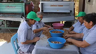 Muğla'da Tarımsal Güçbirliği Kooperatifleri Önemli Adımlar Attı