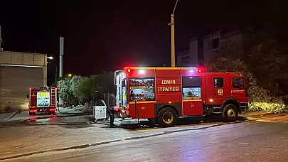 İzmir Bornova'da Otluk Alanda Çıkan Yangın Söndürüldü