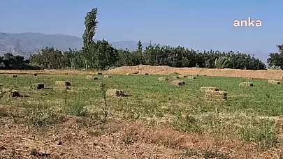 Denizli Otoyolu'nun Tarım Arazilerine Etkisi: Üreticilerden Tepki Yağıyor