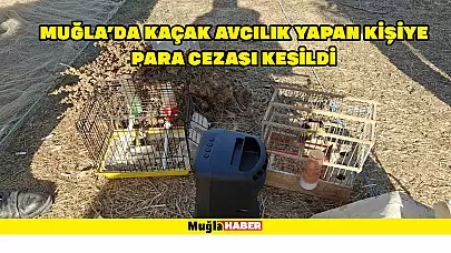 Muğla'da Kaçak Avlanan Şahsa Yüksek Para Cezası Verildi