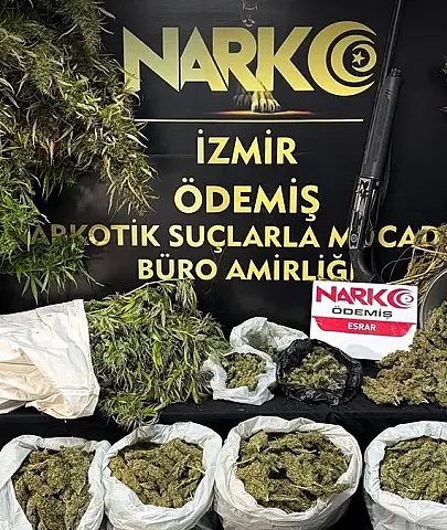 İzmir Ödemiş'te evde 7,7 kilo esrar ele geçirildi, 1 tutuklama