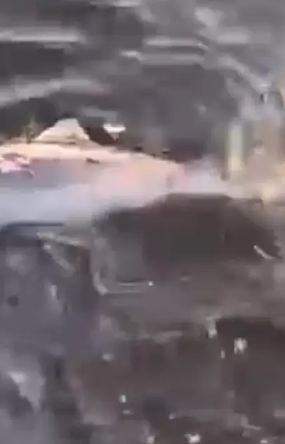 Gemlik sahillerinde acı bir olay yaşandı: Ölü yavru yunus balığı kıyıya vurdu!