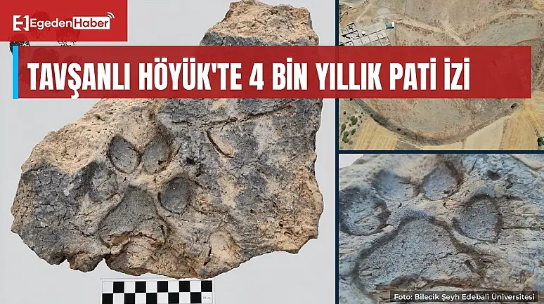 Tavşanlı Höyük'te 4 bin yıllık köpek pati izleri bulundu