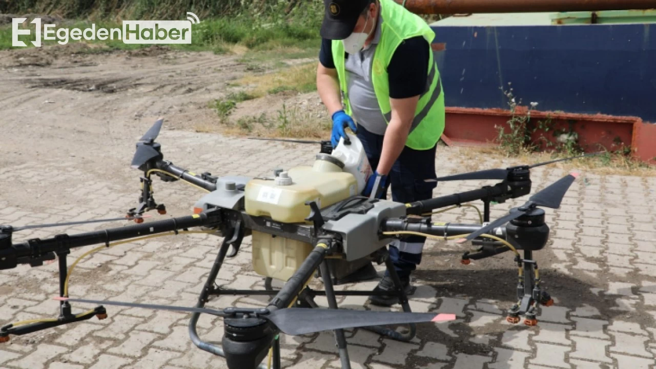 Edremit'te uçkun sinekleriyle mücadelede Drone desteği