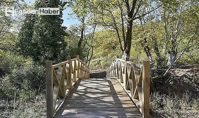 Geçici bir süreliğine ziyarete kapatılan mekanın nedeni araştırılıyor