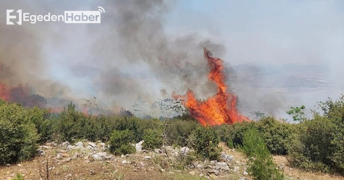 Manisa'da kontrol altına alınmaya çalışılan orman yangını için ekipler seferber oldu