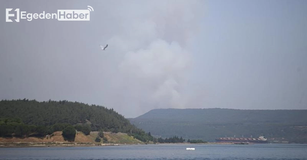 Çanakkale'de Kontrol Altına Alınamayan Orman Yangını Devam Ediyor!