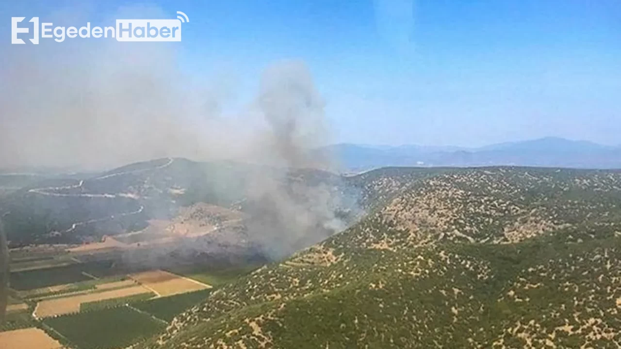 Bayındır ve Tire ilçelerinde yangın! Tarım arazileri zarar gördü