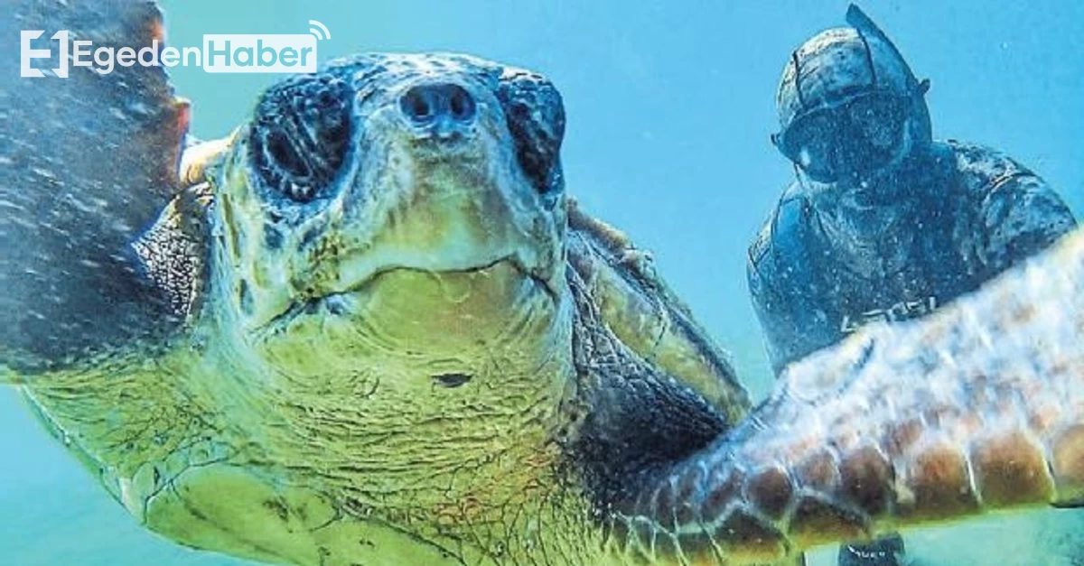 Dünya rekoru kıran dalgıç, caretta caretta ile çektiği özçekimle dikkat çekiyor