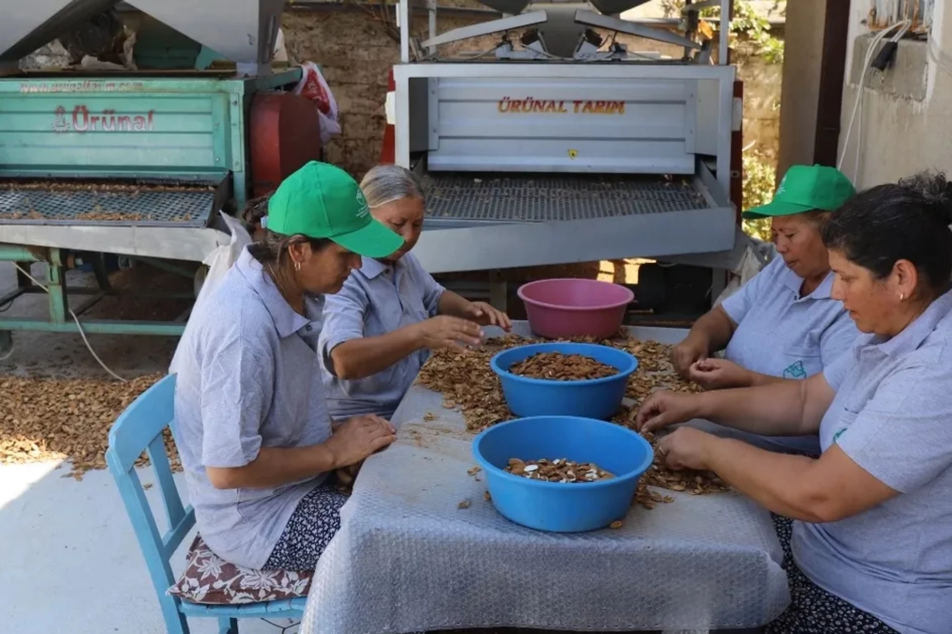 Muğla'da Tarımsal Güçbirliği Kooperatifleri Önemli Adımlar Attı