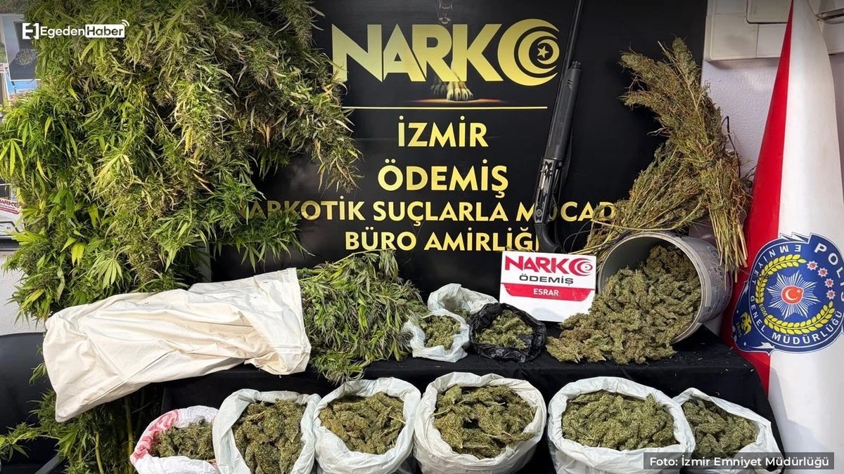 İzmir Ödemiş'te evde 7,7 kilo esrar ele geçirildi, 1 tutuklama