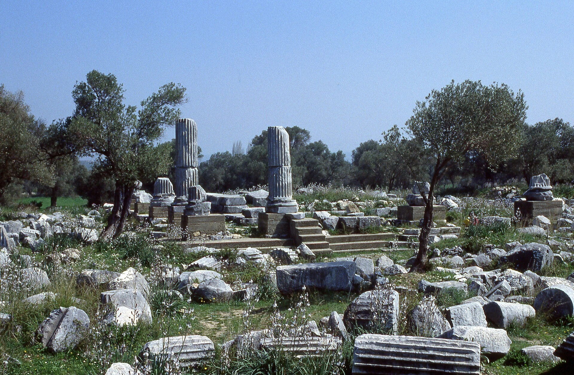 Seferihisar Teos antik kentindeki Dionysos Tapınağı kalıntıları