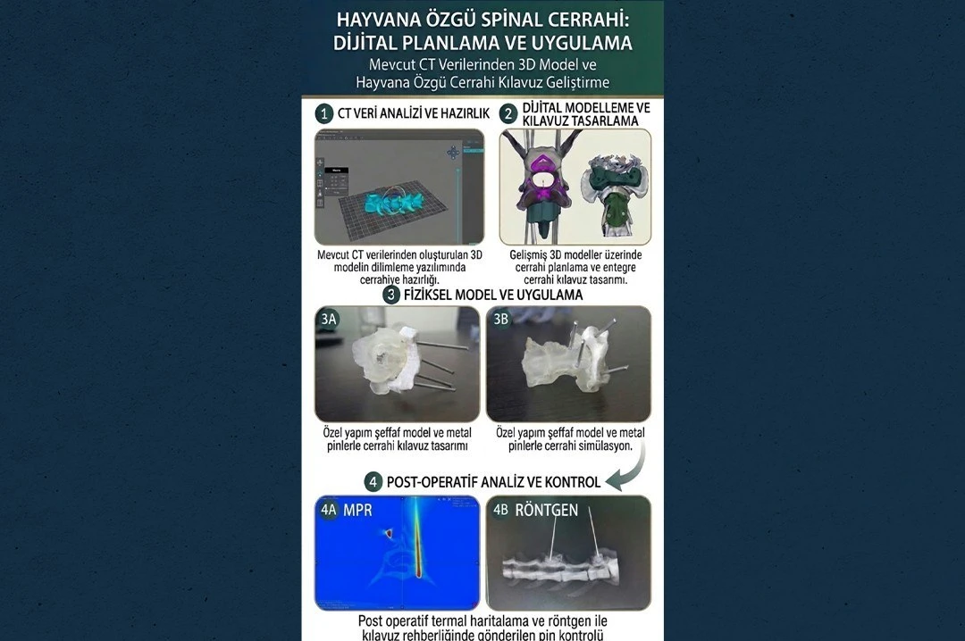 Balıkesir Üniversitesi'nin kedi ve köpekler için geliştirdiği omurga cerrahi kılavuzunun dijital planlama ve uygulama aşamaları